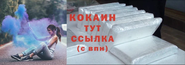 мдпв Михайлов