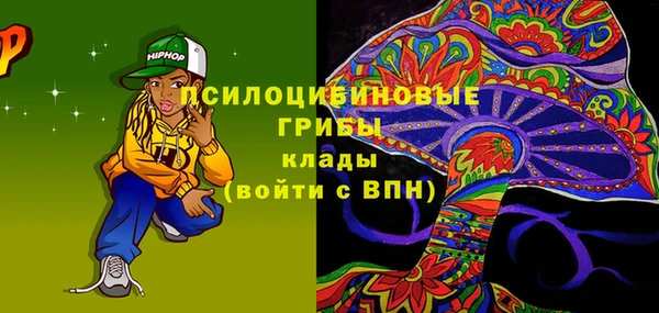 мдпв Михайлов