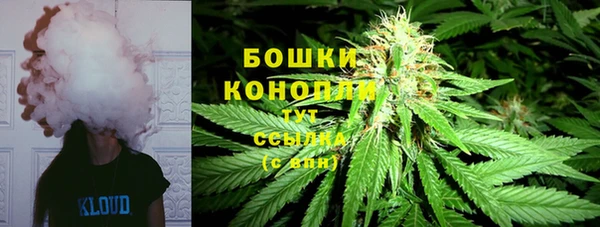 мдпв Михайлов