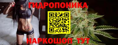 стаф Краснодар