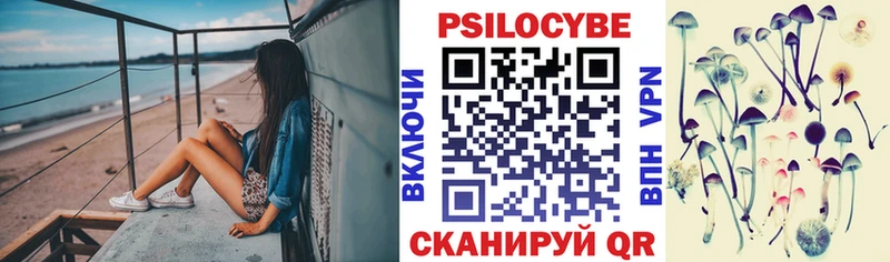 Псилоцибиновые грибы Psilocybe Тихорецк