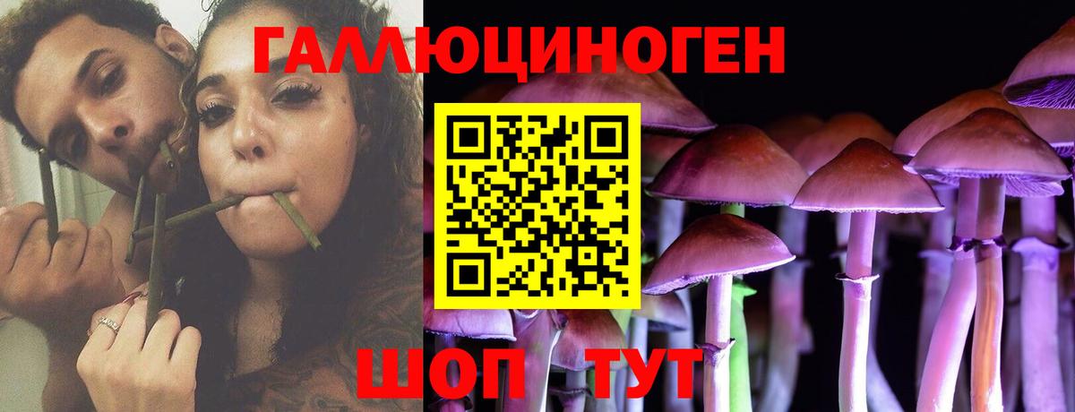 Тихорецк  Псилоцибиновые грибы мицелий  Вход с VPN 